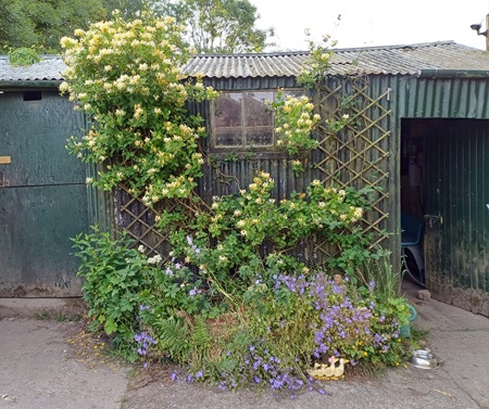 Coloiur on the outbuildings