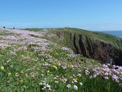 Caldy Island