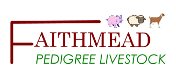 Faithmead Livestock