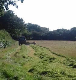 Glynelwyn Hay Cutting