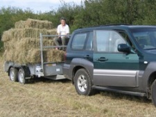 Glynelwyn hay