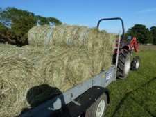 Glynelwyn hay