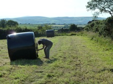 Glynelwyn haylage