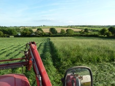 Glynelwyn haymaking