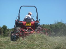 Glynelwyn haymaking