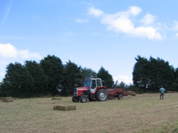 Glynelwyn haymaking