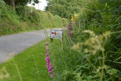 Glynelwyn lane
