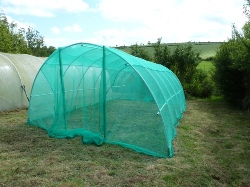 Glynelwyn net tunnel