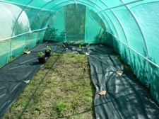 Glynelwyn net tunnel