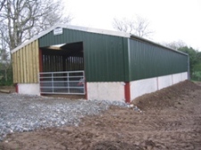 Glynelwyn new shed
