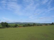 Glynelwyn views