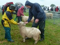Faithmead Cardigan Show