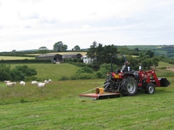 Glynelwyn topping
