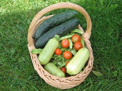 Glynelwyn veg.